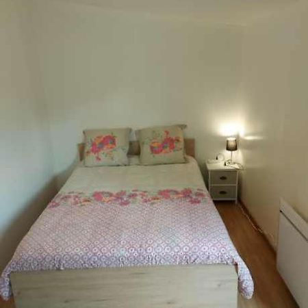 Studio Au Calme Wifi 600M Centre Ville Parking Gratuit Devant Castres (Tarn) Exterior foto